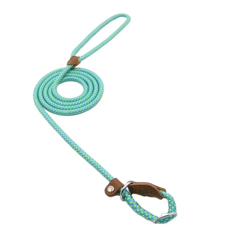 Nylon Pup Set