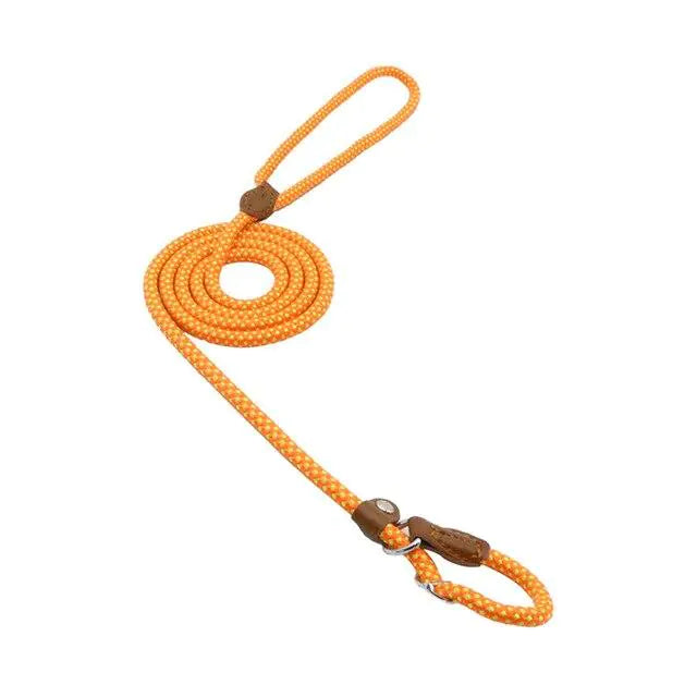Nylon Pup Set