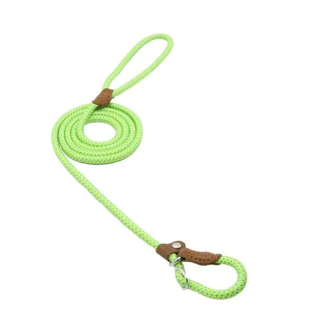 Nylon Pup Set