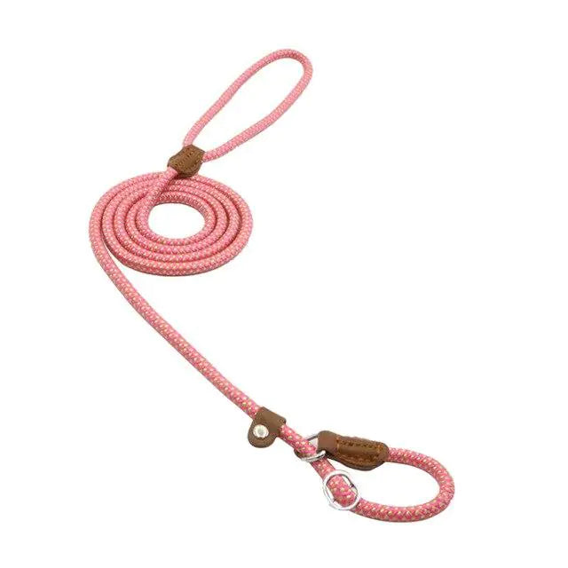 Nylon Pup Set